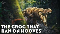 The Croc That Ran on Hooves Instructional Video