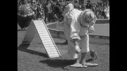 Circus performers entertain sick kids News Clip