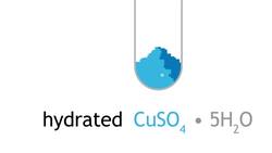 Testing For Water Instructional Video