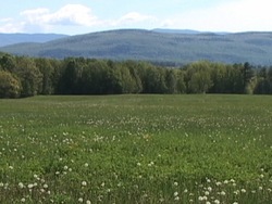 Nuestra preciosa Tierra: video de evaluación Instructional Video