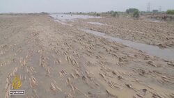 India rice export: Four-month ban targets food price inflation News Clip