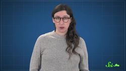 Killer Bees The Real Zombee Apocalypse Instructional Video