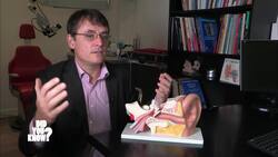 Silencing the Noise: Understanding and Mitigating Noise Pollution Instructional Video