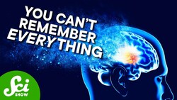 Are Your New Memories Replacing Your Old Ones? Instructional Video
