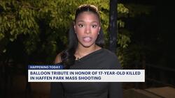 Balloon tribute to be held in honor of 17-year-old killed in Haffen Park mass shooting News Clip
