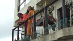 CLEAN : Venezuelan couple runs rescue centre for vulnerable sloths News Clip