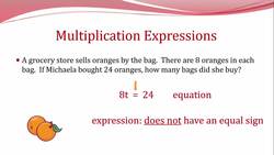 Multiplication Expressions Instructional Video