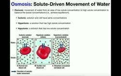 Basics of Osmosis Instructional Video
