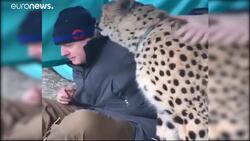Raw Moment: Boris Johnson gets up close and personal with Saba the cheetah News Clip