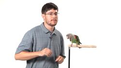 How to Teach Your Parrot the Big Eagle Trick Instructional Video