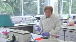 Corinavirus Testing - Nasal Swab Laboratory Analysis News Clip