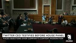 Former Reddit CEO Ellen Pao: Are the Right People in Charge at Twitter & Facebook? News Clip