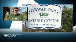 Friends of Ojibway 'ecstatic' to see park included in federal budget News Clip