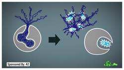 Immune NETs: What COVID and Snake Venoms Have in Common Instructional Video