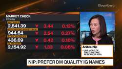 UBP's Nip on Fixed Income Strategies News Clip