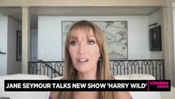 Jane Seymour Stars as an English Professor Who Solves Crimes in 'Harry Wild' News Clip