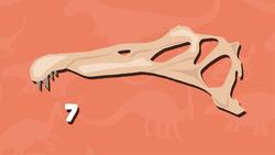 I WONDER - What Did The Spinosaurus Eat? Me Pregunto - Qué Comía El Spinosaurus? Instructional Video