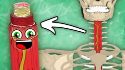 I Am Your Esophagus! | The Human Esophagus Song | KLT Anatomy Instructional Video