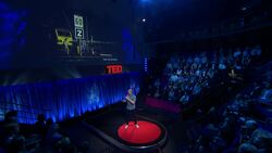 TED: Two nameless bodies washed up on the beach. Here are their stories | Anders Fjellberg Instructional Video