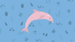 I WONDER - What Dolphins Live In The Amazon Rainforest? Instructional Video