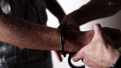 How a cultish crew of radical vegans became linked to killings across the United States Instructional Video