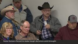 Drought forces prairie ranchers to sell livestock News Clip
