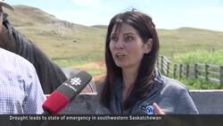 Severe Saskatchewan drought threatens crops, livestock News Clip