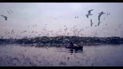 Sacred Heart University alum's latest documentary debuts on Earth Day News Clip