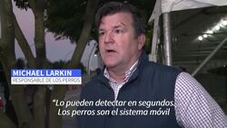 CLEAN : Perros olfatean el covid-19 en partido del Miami Heat de la NBA News Clip