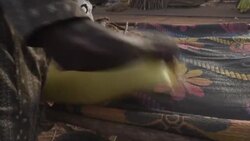 CLEAN : Hunger stalks jihadist-battered Niger News Clip