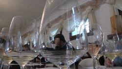 Prosecco bubble shows no sign of bursting Instructional Video