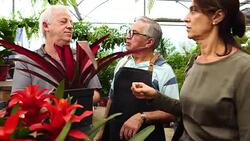 Family shop for plants with Salesman at Flower Market Stock Footage
