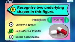 Some Stupid Math Mistakes: Surface Areas and Volumes Instructional Video