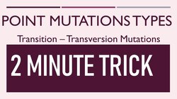 Types of Point Mutation Instructional Video