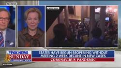 Birx warns against gatherings as US reopens from lockdowns News Clip