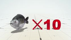 Catch-and-release fishing may be harmful to fish Instructional Video