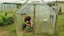 Climate Change and Peanuts Instructional Video