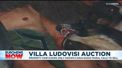 Sale of €450 million Caravaggio mural mansion collapses with no buyers News Clip