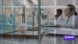 Animals Are Gaining More Rights News Clip