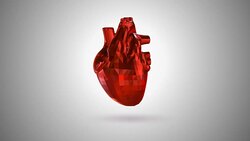 3D animation of a low poly human heart (Loop 4k + Chroma key) Stock Footage