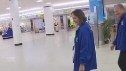 Therapy dog helps ease travel stress in Florida News Clip