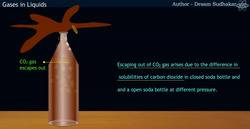 Gases in Liquids - Henrys Law Instructional Video
