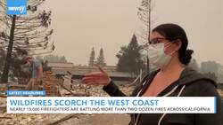 Newsy's Latest Headlines News Clip