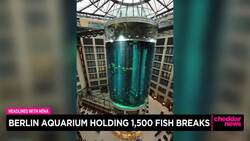 Massive Aquarium In Berlin Bursts News Clip