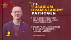 FBI Foils Fungus Smuggling Bid | Two Chinese Nationals Arrested In US News Clip