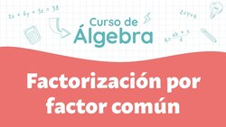 Factorización por factor común Instructional Video