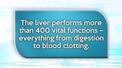 Some facts about the liver Instructional Video