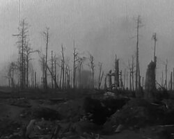 Refugees on the German Western Front, Battle of Verdun, Battle of the Somme, artillery and tanks. Stock Footage