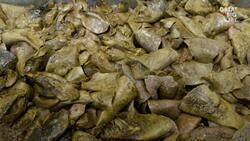 The Art of Making Haggis, A Scottish Tradition Instructional Video