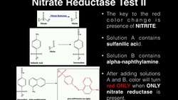 Microbiology | Nitrate Broth [Nitrate Reduction Test] Instructional Video
